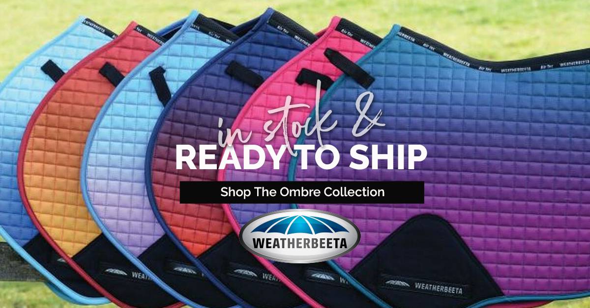 Just Arrived! WeatherBeeta Ombre Collection - Shop Now