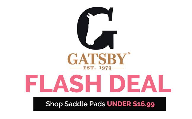 Shop All Gatsby Premium Pads