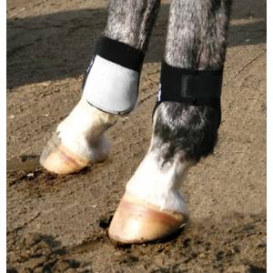Professionals Choice Rear Ankle Boots