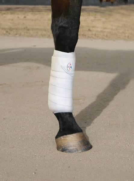 Professionals Choice Combo Bandage