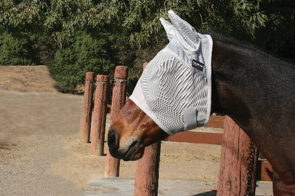 Professionals Choice Equisential Fly Mask With Ears