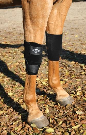 Professionals Choice Knee Boots