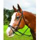 Perri's Premium Leather Padded Bridle with Removable Flash