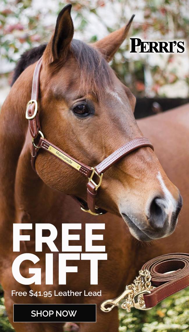 Perri's FREE Matching Leather Lead with Every Halter - Valued at $41.95