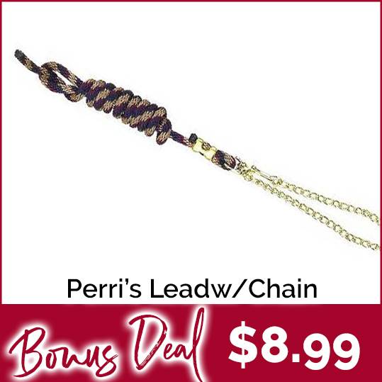 Perri's Poly Nylon Lead With 30" Chain Just $8.99