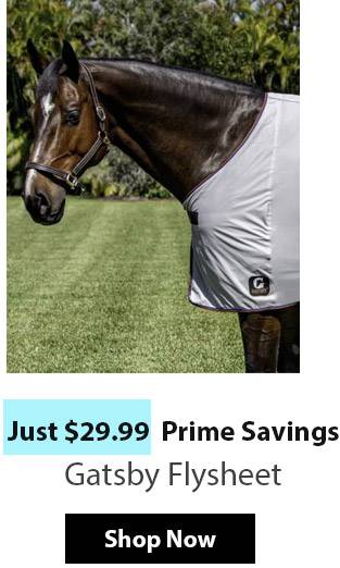 Gastby Flysheet