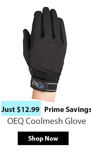 OEQ Coolmesh Glove