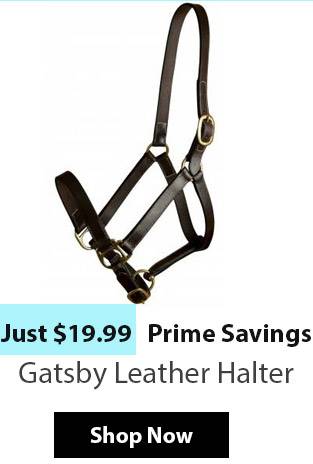 Gatsby Leather Halter