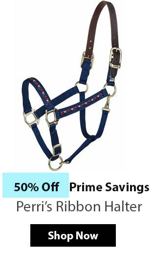 Perri's Ribbon Halter