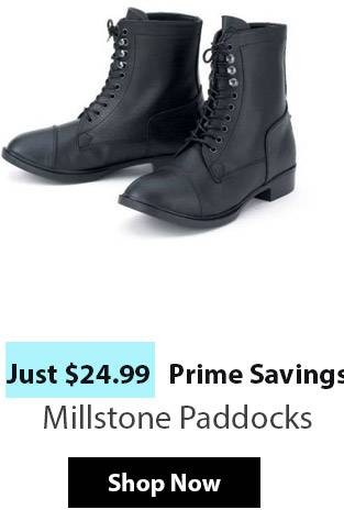 Millstone Paddocks