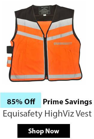 EquiSafety HighViz Vest