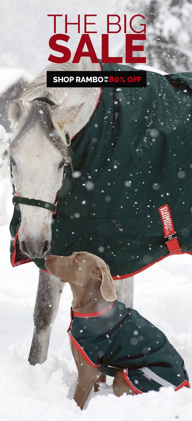 Rambo Premium Horse Clothing Everything on Sale