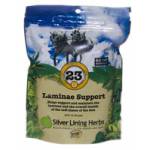 Silver Lining Laminae Support