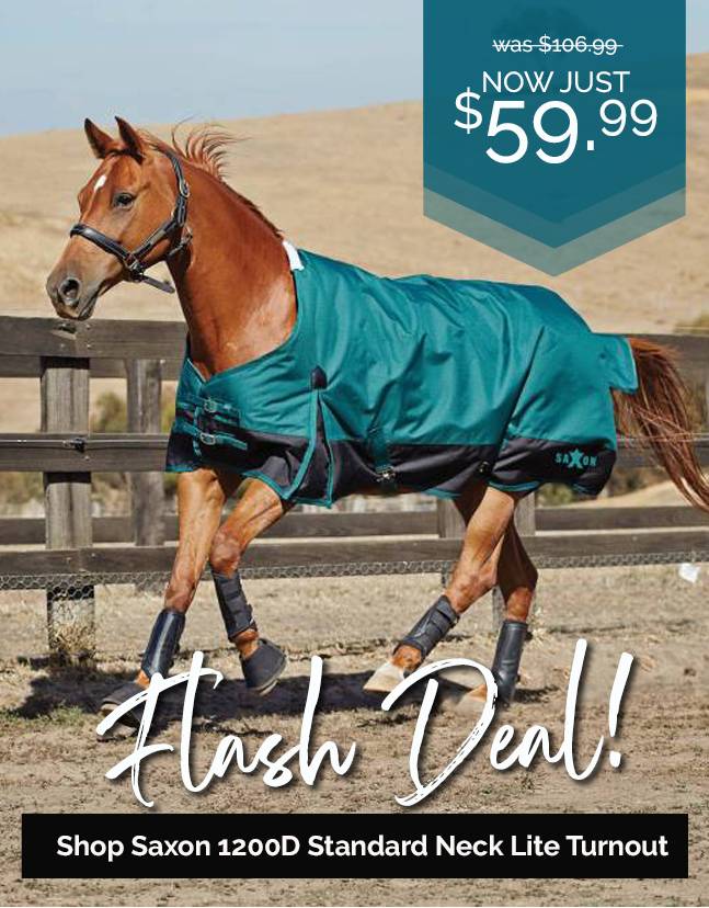 Flash Deal! Saxon 1200D Turnout Blanket NOW JUST $59.99