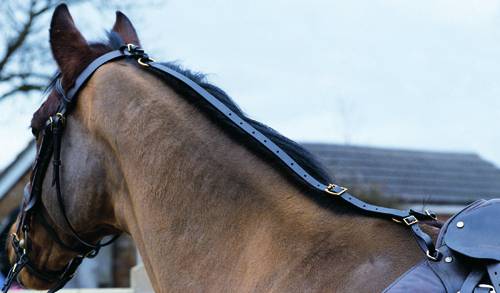 Shires Daisy Rein - Nylon