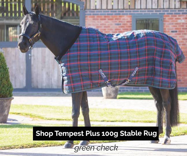 Tempest Plus 100g Stable Rug