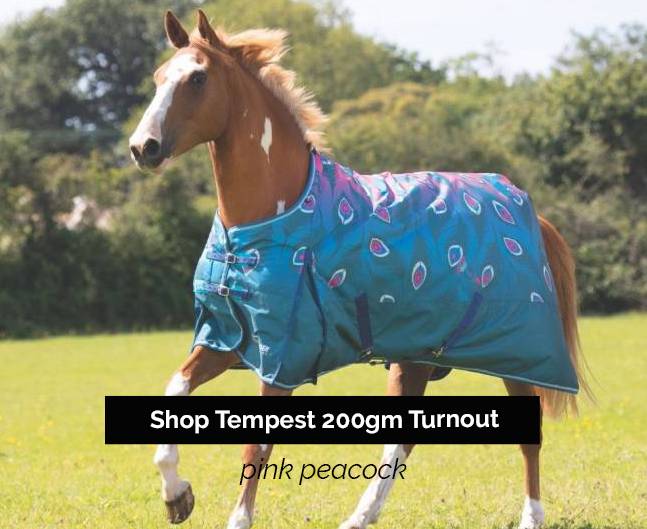 Tempest Original 200gm Turnout Blanket