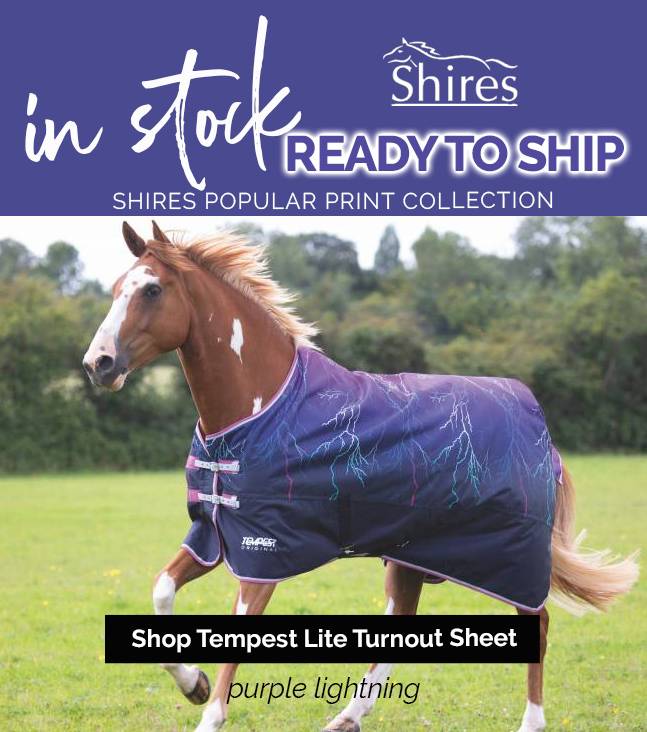 Tempest Original 200gm Turnout Blanket