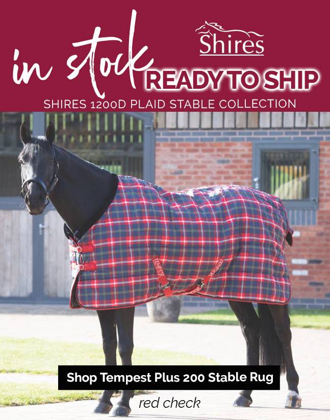 Tempest Plus 200 Stable Rug
