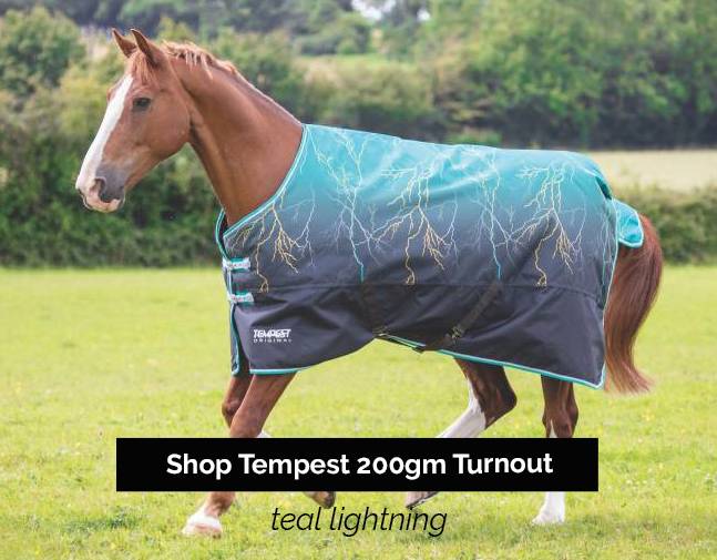 Tempest Original Lite Turnout Sheet