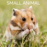 Small Animal Liquidation