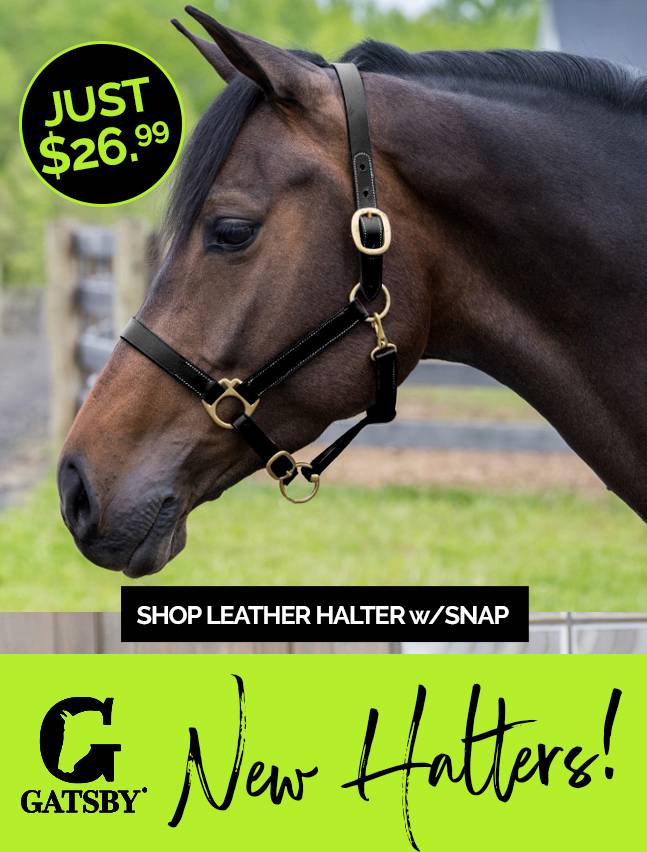 Gatsby Halter with Snap