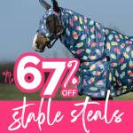 Stable Steals
