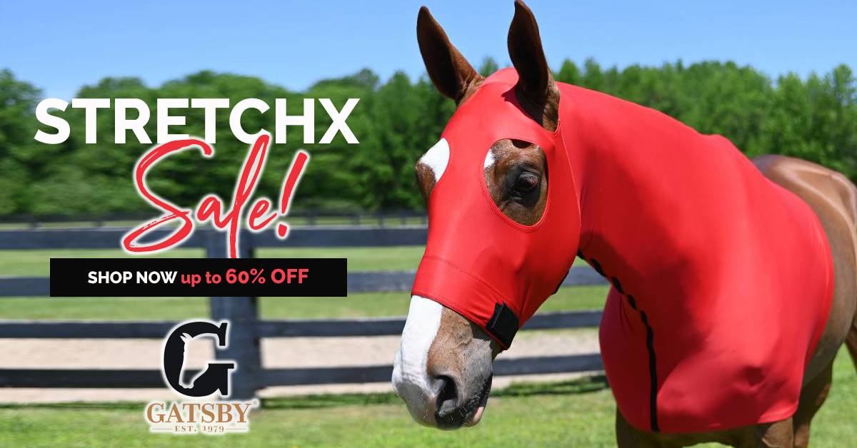 Gatsby StretchX Collection On Sale