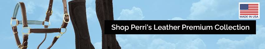 Shop Perri's Padded Halter & Lead