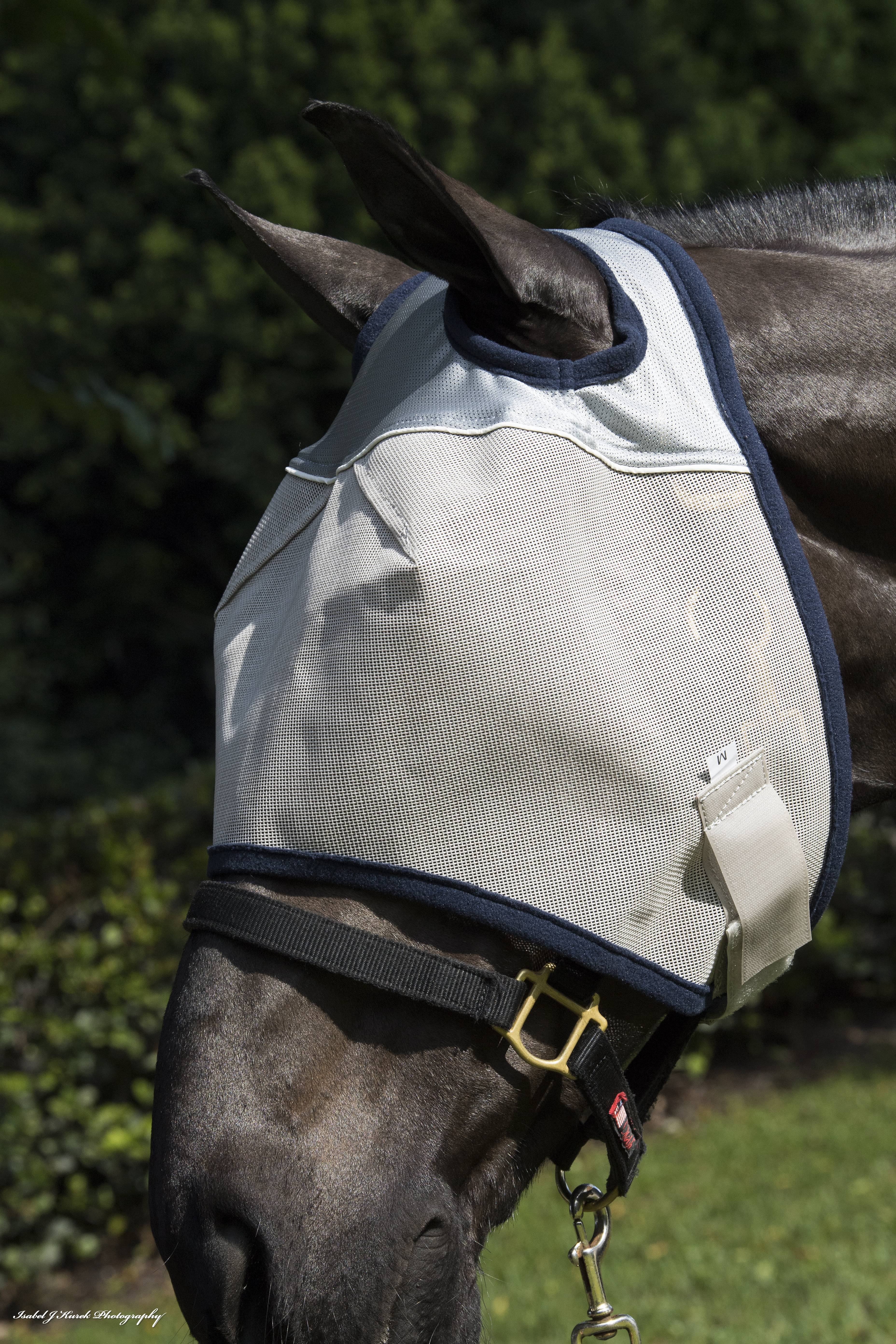 Defender Fly Mask with Reflective Trim