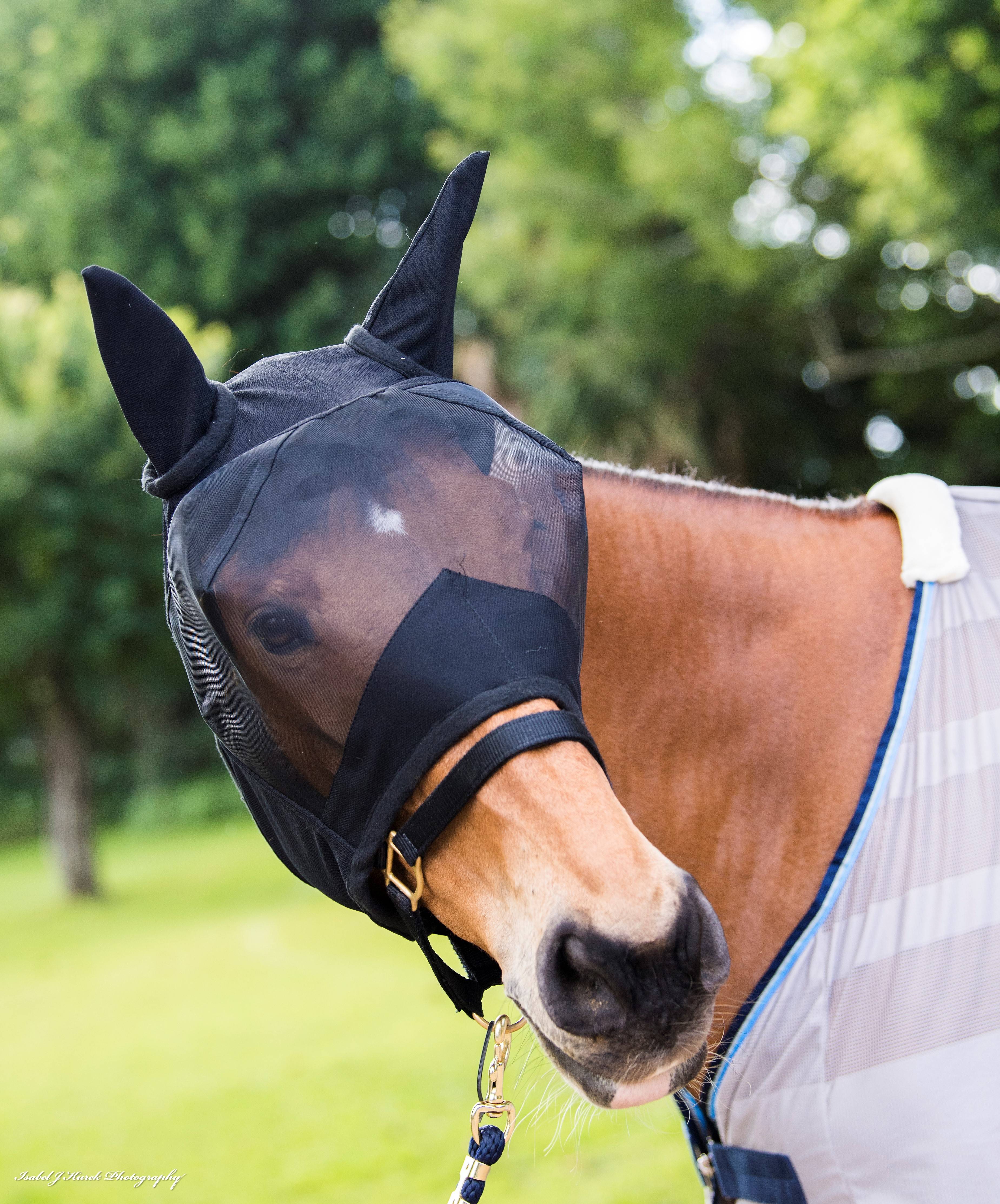 Defender Comfort Fly Mask with Ears