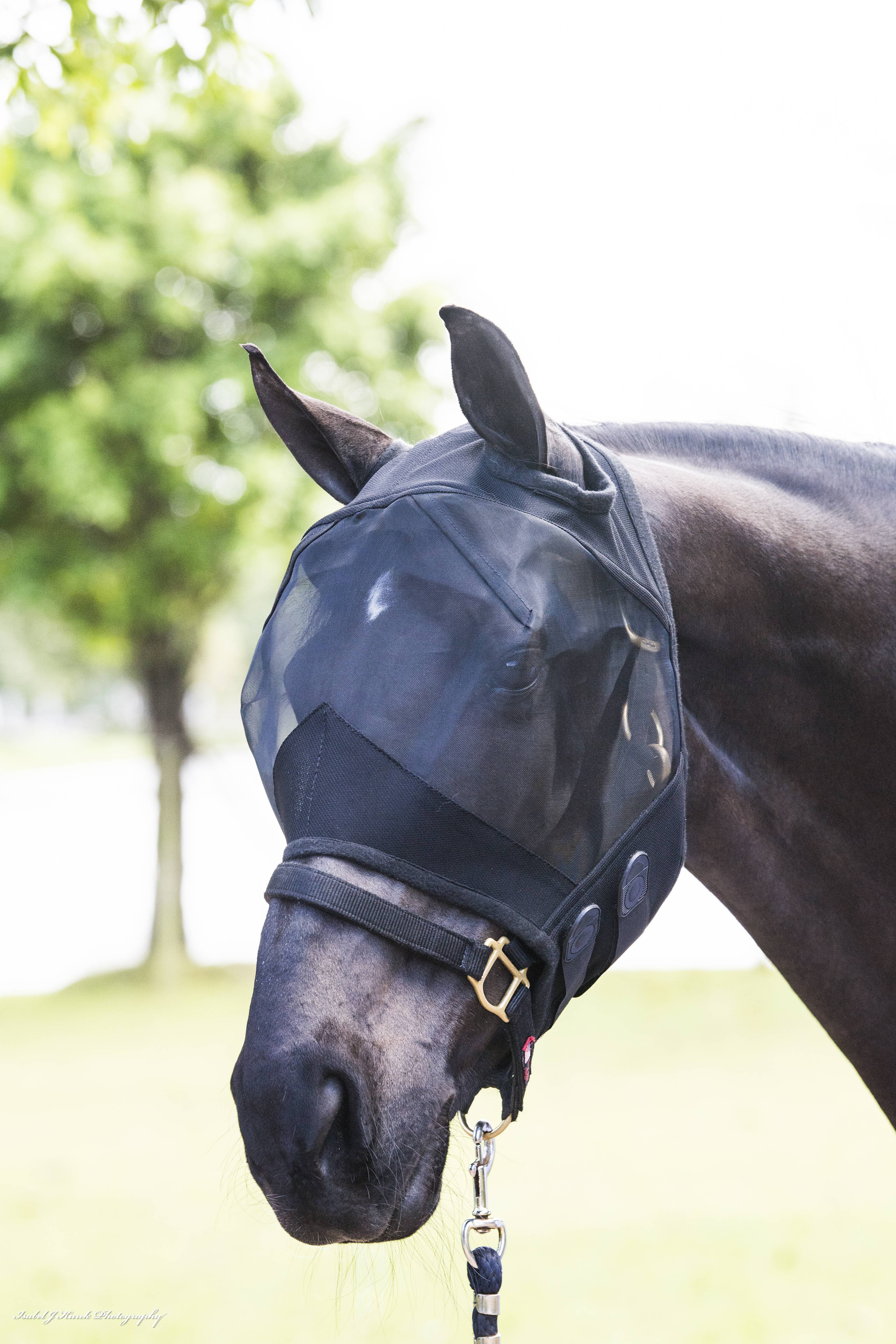 Defender Comfort Fly Mask without Ears