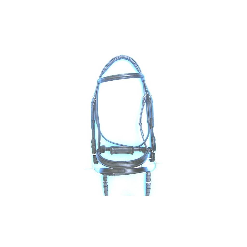 Pro-Trainer Crank Dressage Bridle with Attached Flash