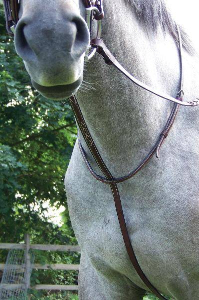 ProAm Fancy Stitched Standing Martingale