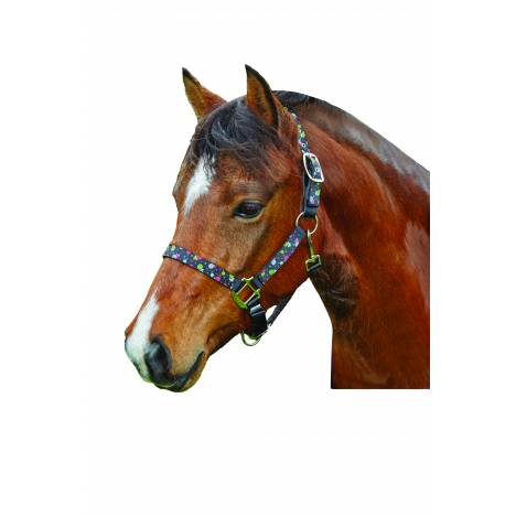 Roma Ribbon Breakaway Lollipop Halter