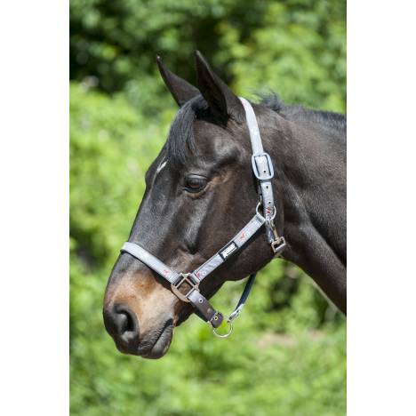 Roma Reflective Breakaway Halter