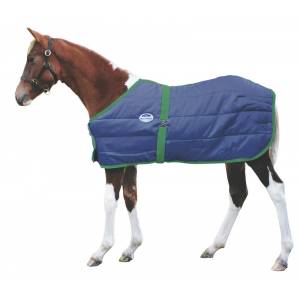 Weatherbeeta 420D Growing Foal Blanket