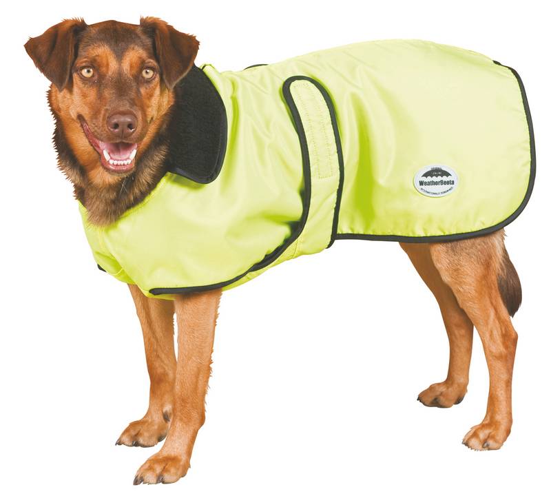 Weatherbeeta reflective parka clearance 300d deluxe dog coat