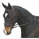 Collegiate Comfort Crown Raised Padded Fancy Stitched Bridle