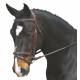 Collegiate Comfort Crown Raised Padded Fancy Stitched W/ Removable Flash Bridle