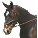 Collegiate Comfort Crown Raised Padded Fancy Stitched Figure 8 Bridle