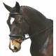 Collegiate Comfort Crown Padded Crank W/ Removable Flash Bridle