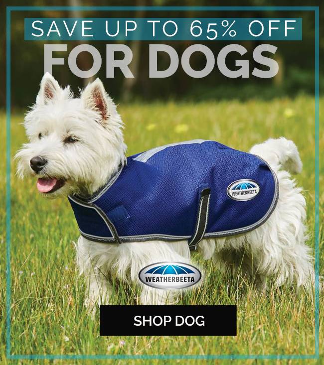 Shop for Your Dog - Brand Clearance Up to 65% OFF