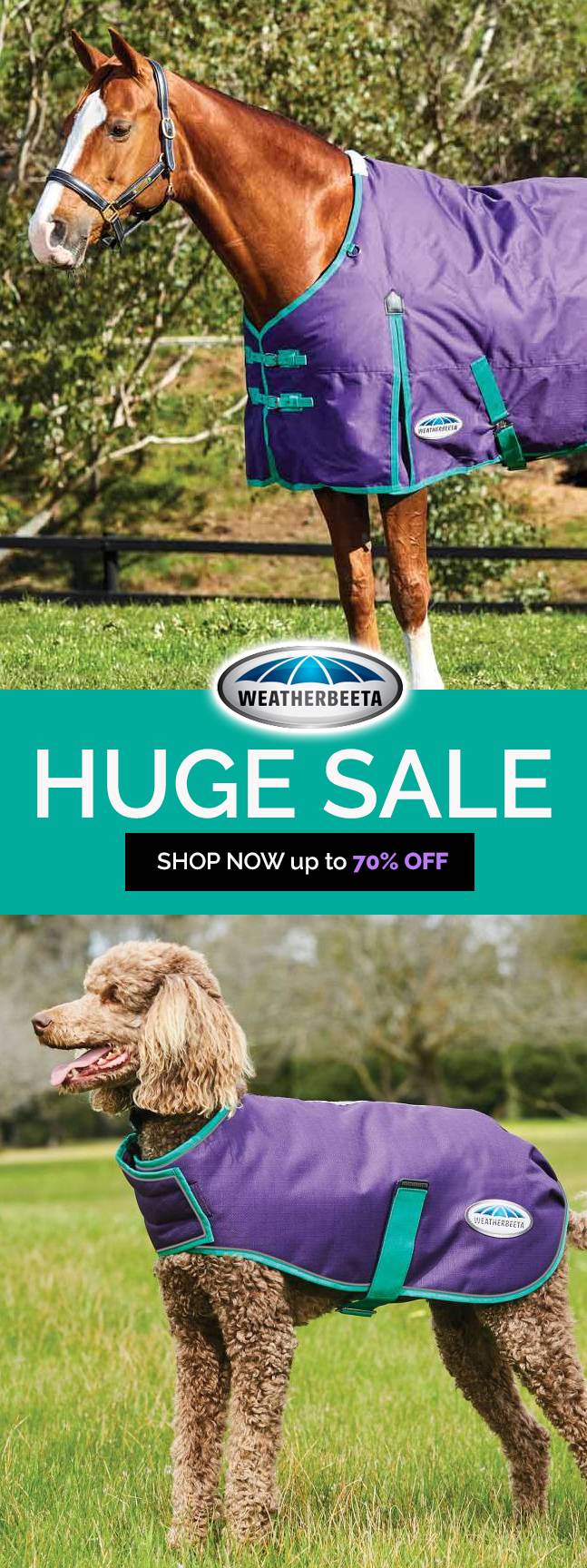WeatherBeeta Huge Pre-Season Sale Up to 69% OFF