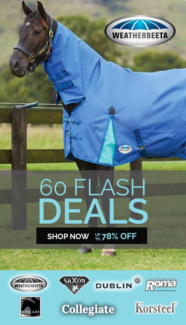 60+ Flash Deals