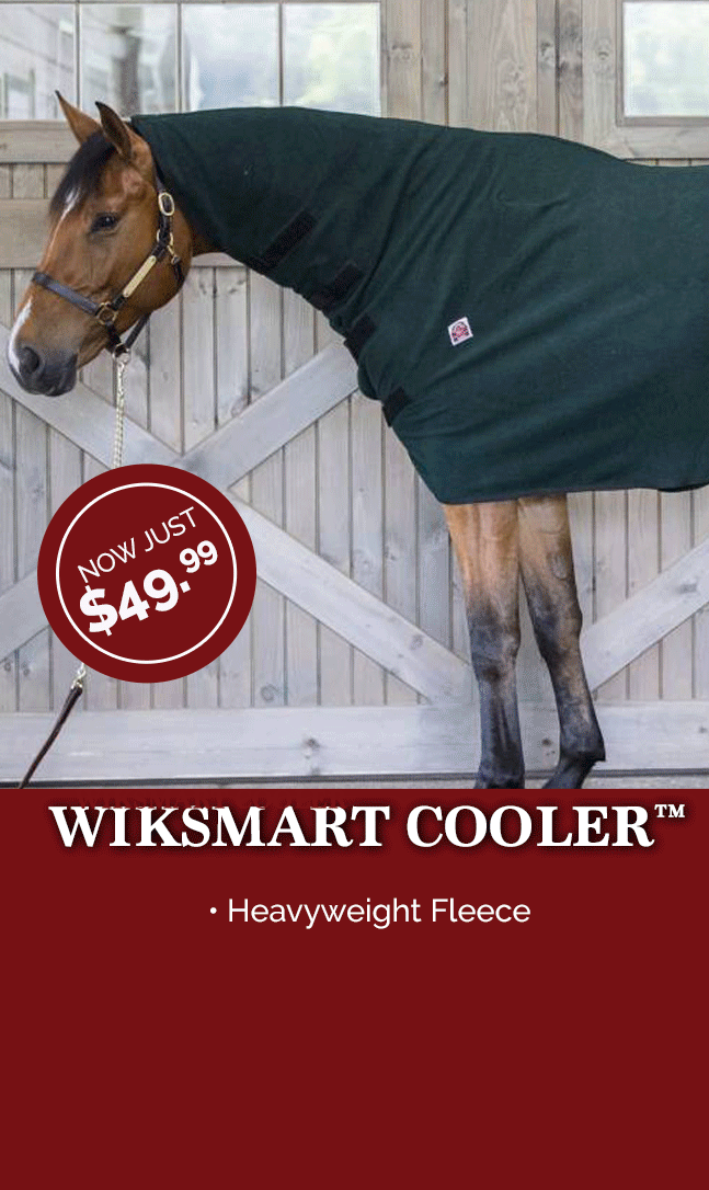 WikSmart Patented Coolrs Just $49.99